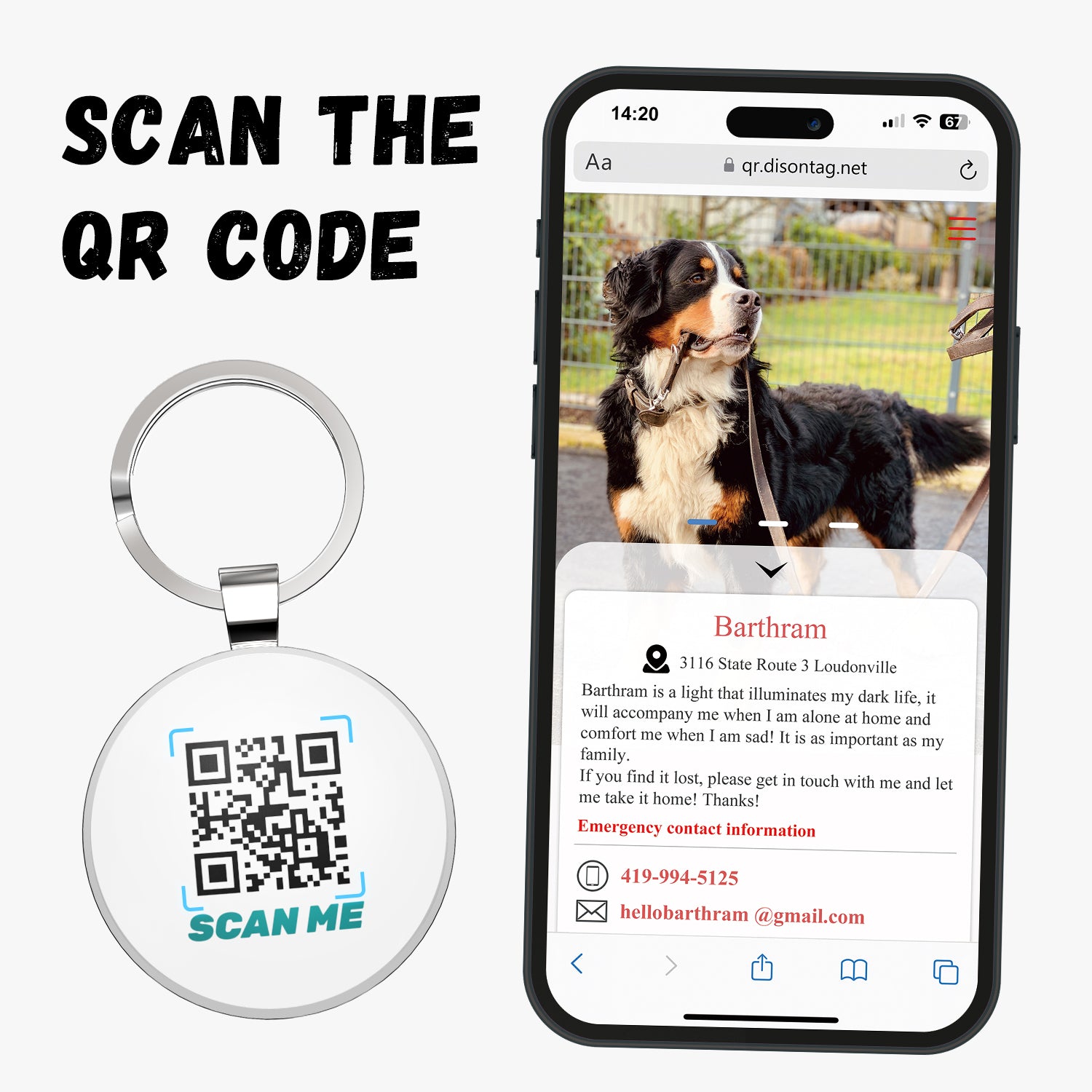 QR code pet tag Adventure tour-NO.160901
