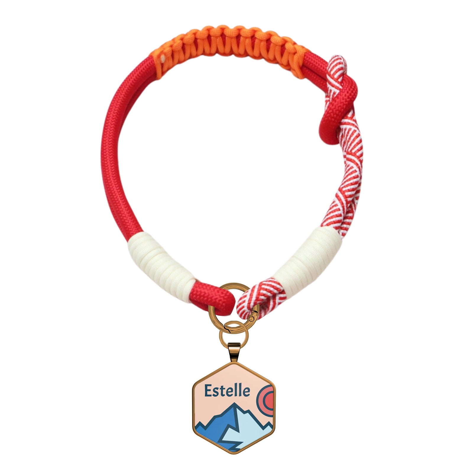 Custom Zinc Alloy QR Pet Tag & Polyester Rope Set- 20