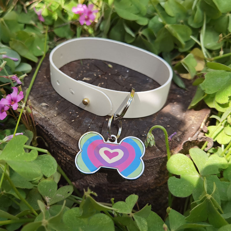 QR code pet tag bone tags-NO.150632