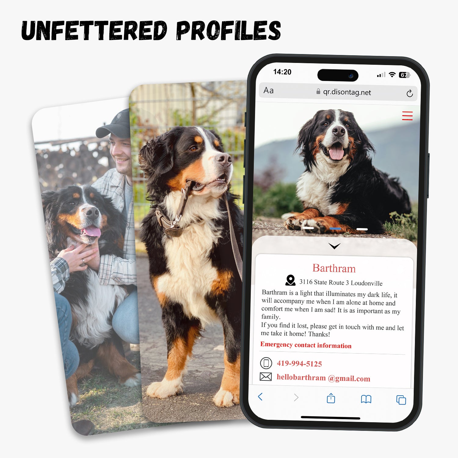 QR code pet tag Dog breeds tags-Border Collie