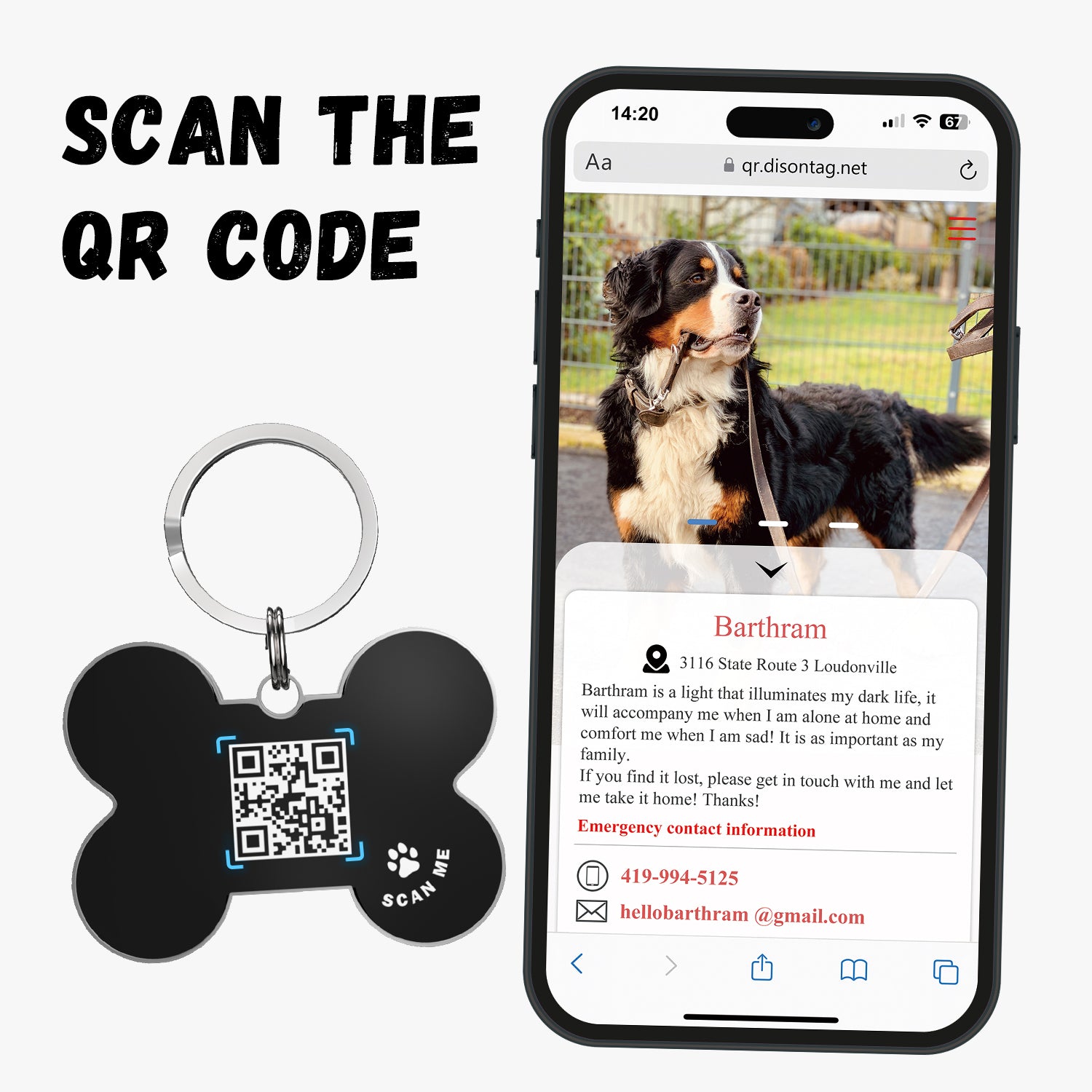 QR code pet tag Colorful text-NO.170925