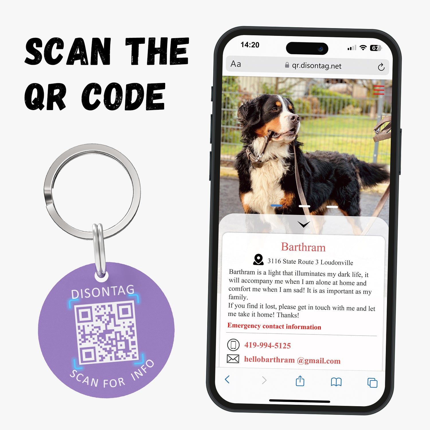 PVC pet tag Color Dopamine-Adventure