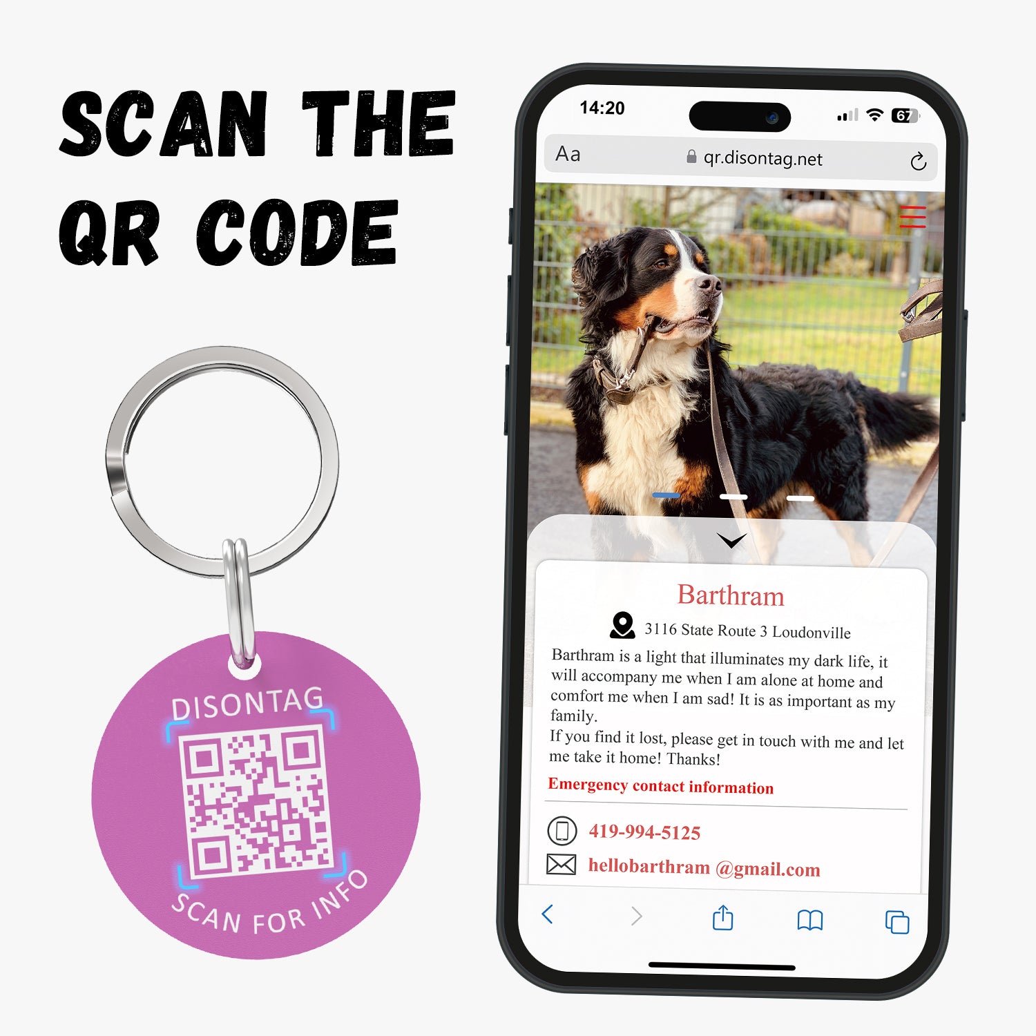 PVC pet tag Color Dopamine-Crown