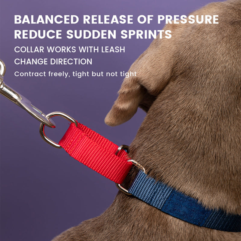 DISONTAG nylon pet collar with exclusive QR code, explosion-proof rushed + quick release buckle (Green)