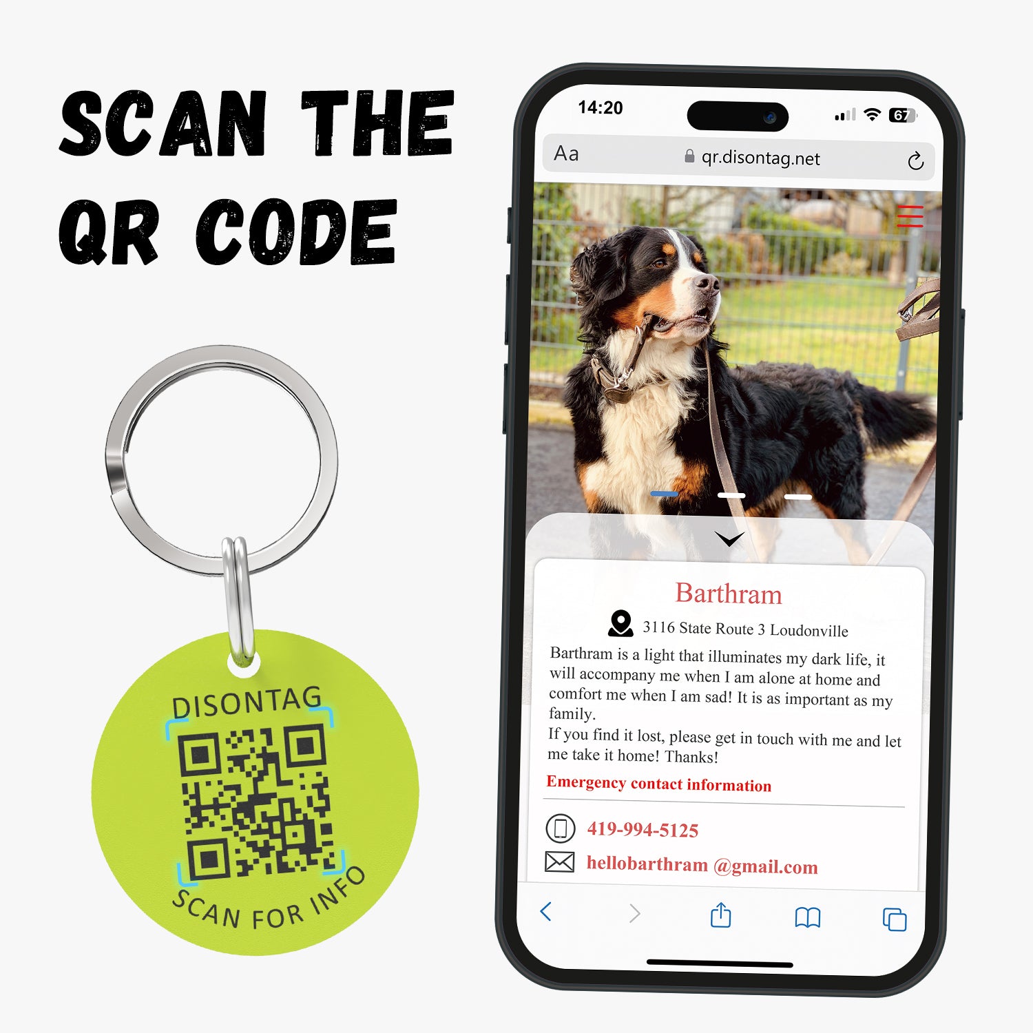 PVC pet tag Color Dopamine-Sun