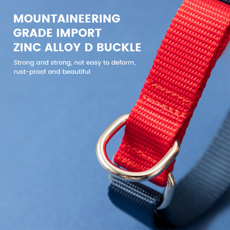 DISONTAG nylon pet collar with exclusive QR code, explosion-proof rushed + quick release buckle (Green)