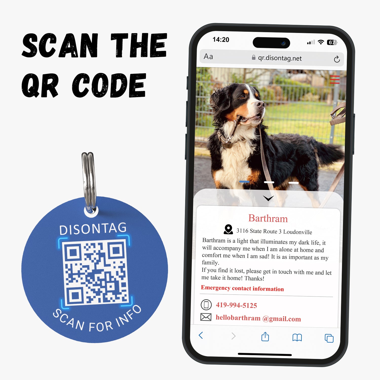 PVC QR pet tag-"LIGHTHOUSE"