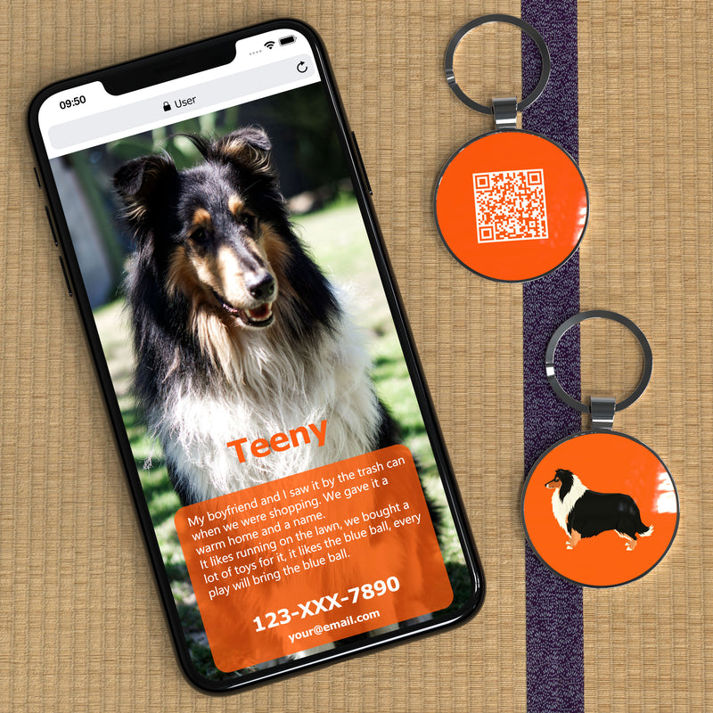 QR code pet tag Dog breeds tags-Collie