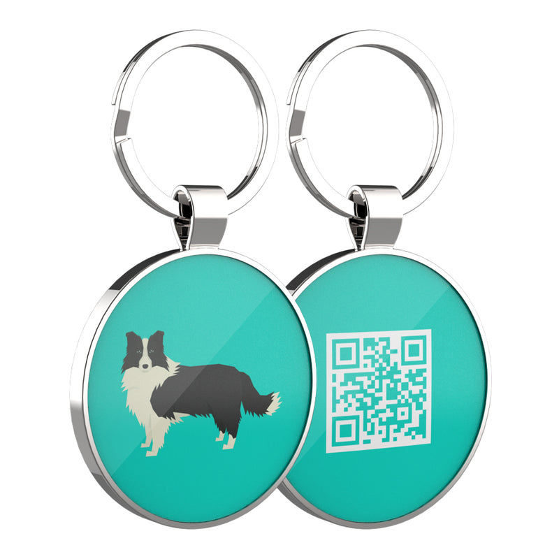 QR code pet tag Dog breeds tags-Border Collie