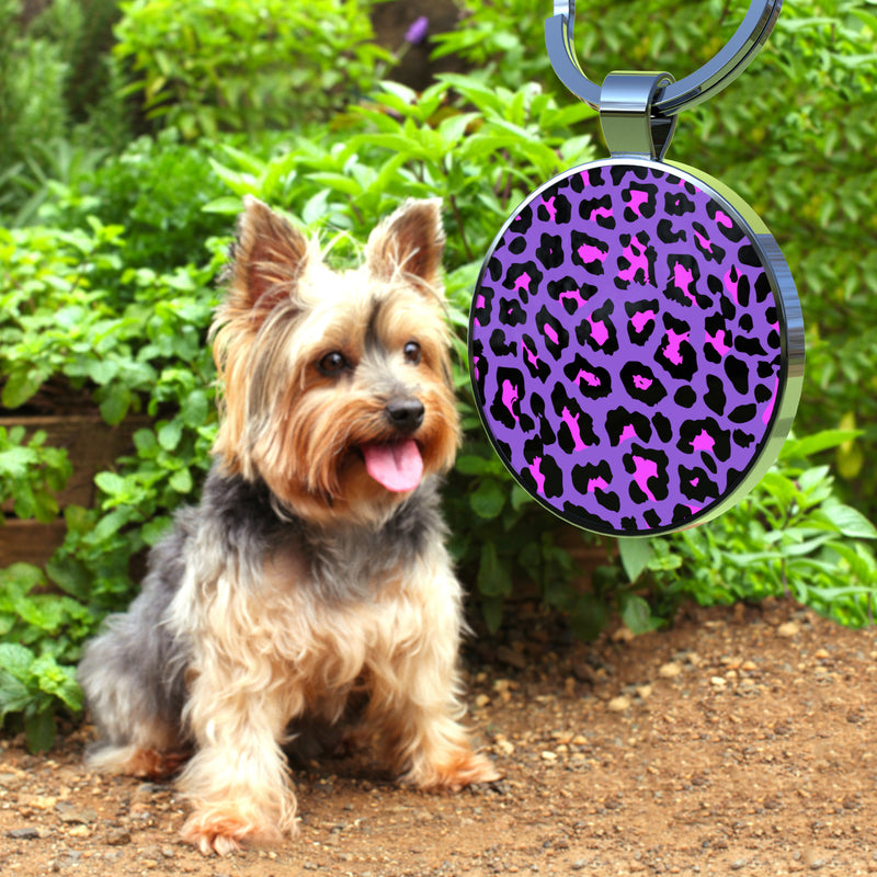 QR code pet tags-NO.150604