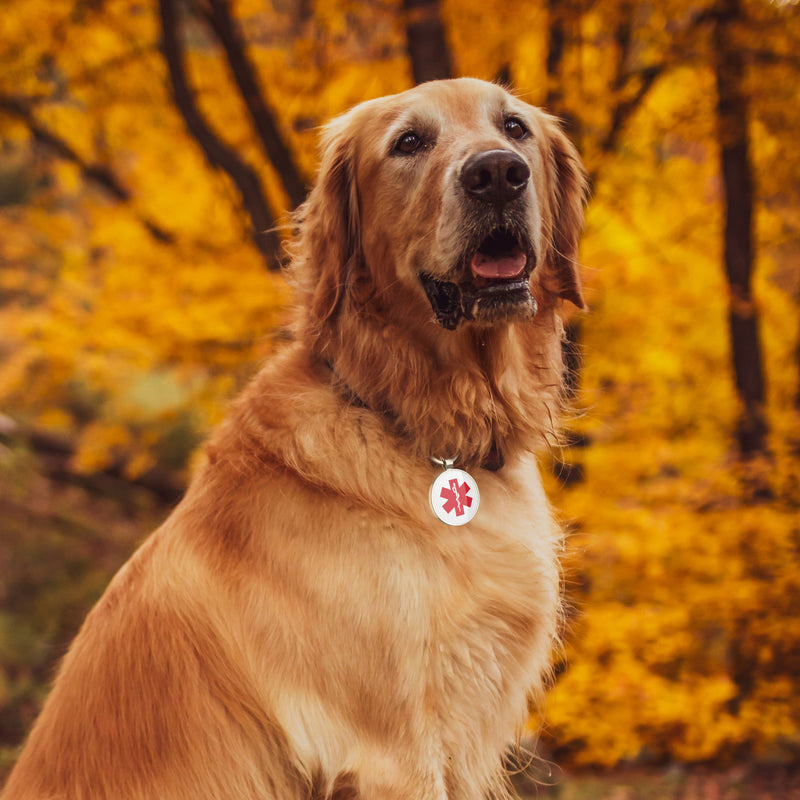 QR code pet tag Dog breeds tags-Service dog