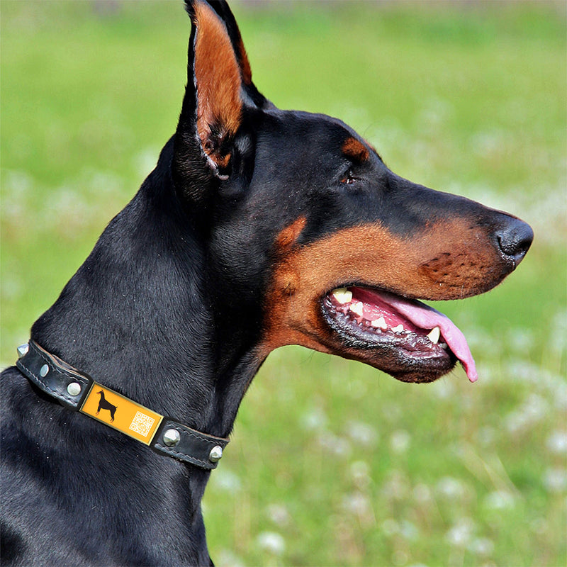 QR code pet tag Silent dog breeds tags-Doberman