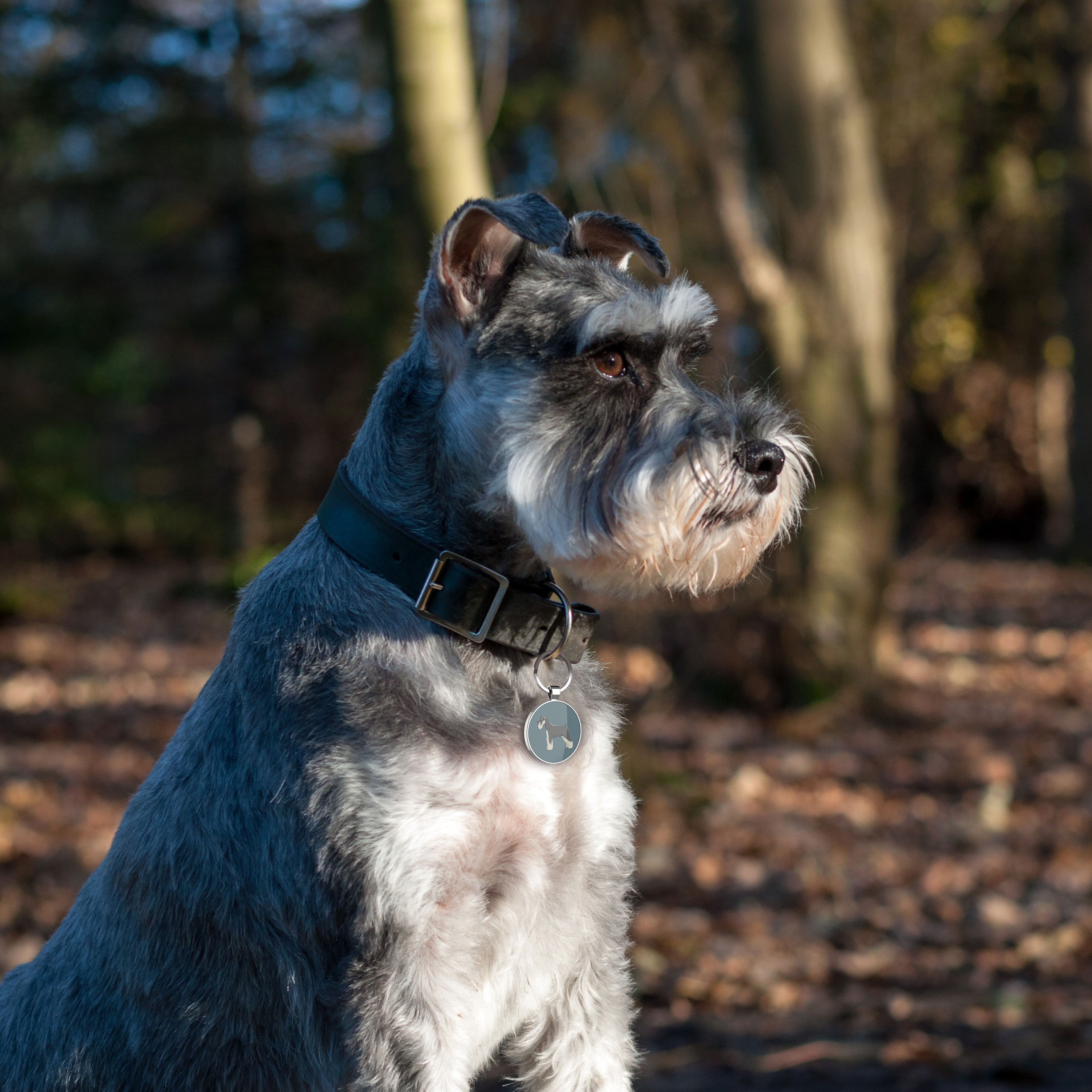 QR code pet tag Dog breeds tags-Schnauzer