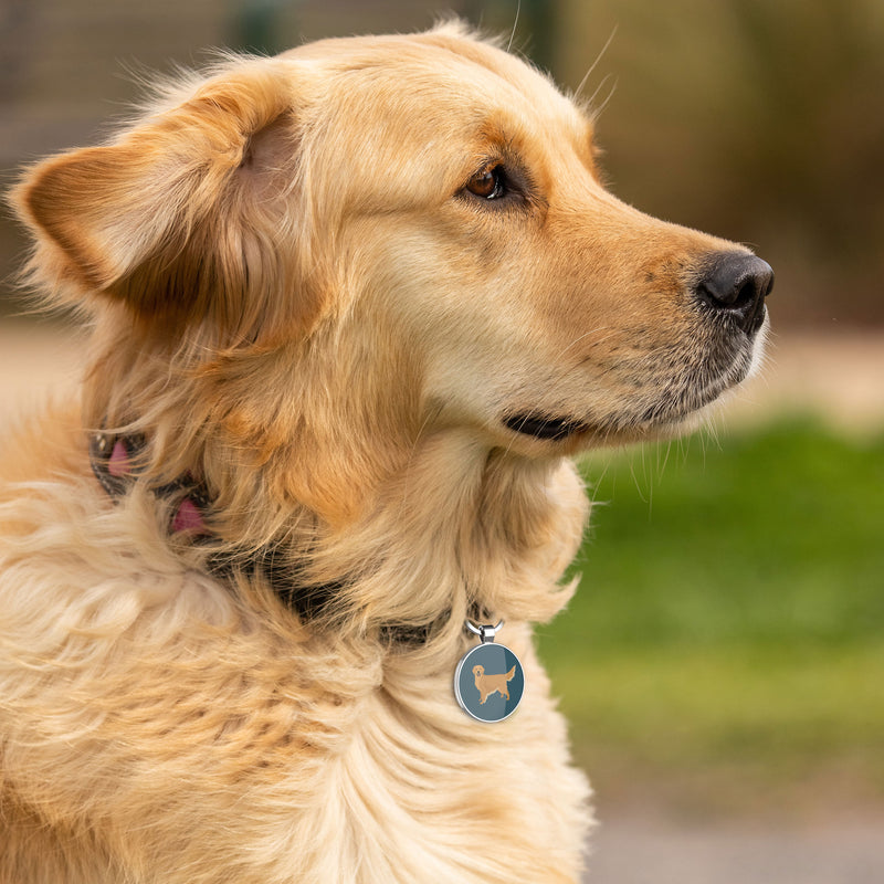 QR code pet tag Dog breeds tags-Golden Retriever