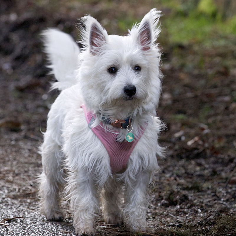QR code pet tag Dog breeds tags-West Highland White Terrier