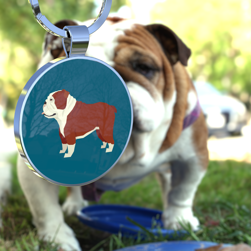 QR code pet tag Dog breeds tags-English Bulldog