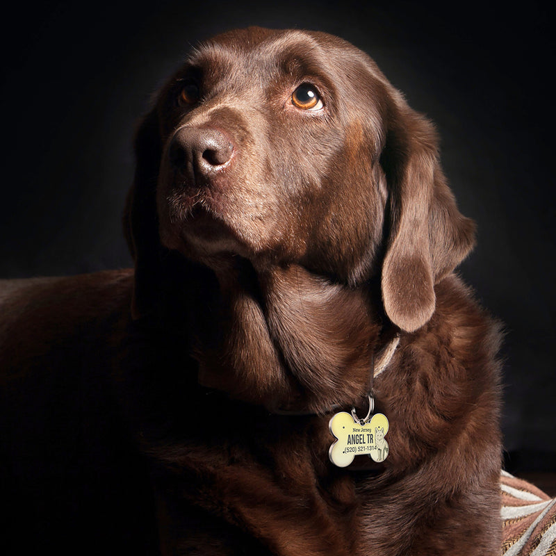 QR code pet tag American vehicle plates-NO.140914