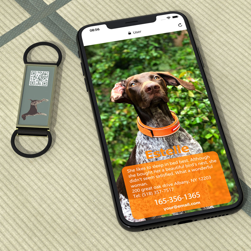 QR code pet tag Silent dog breeds tags-German Shorthaired Pointer