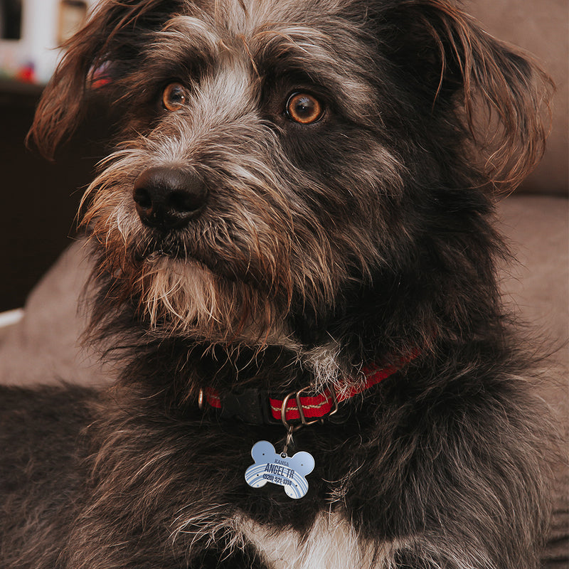 QR code pet tag American vehicle plates-NO.140917