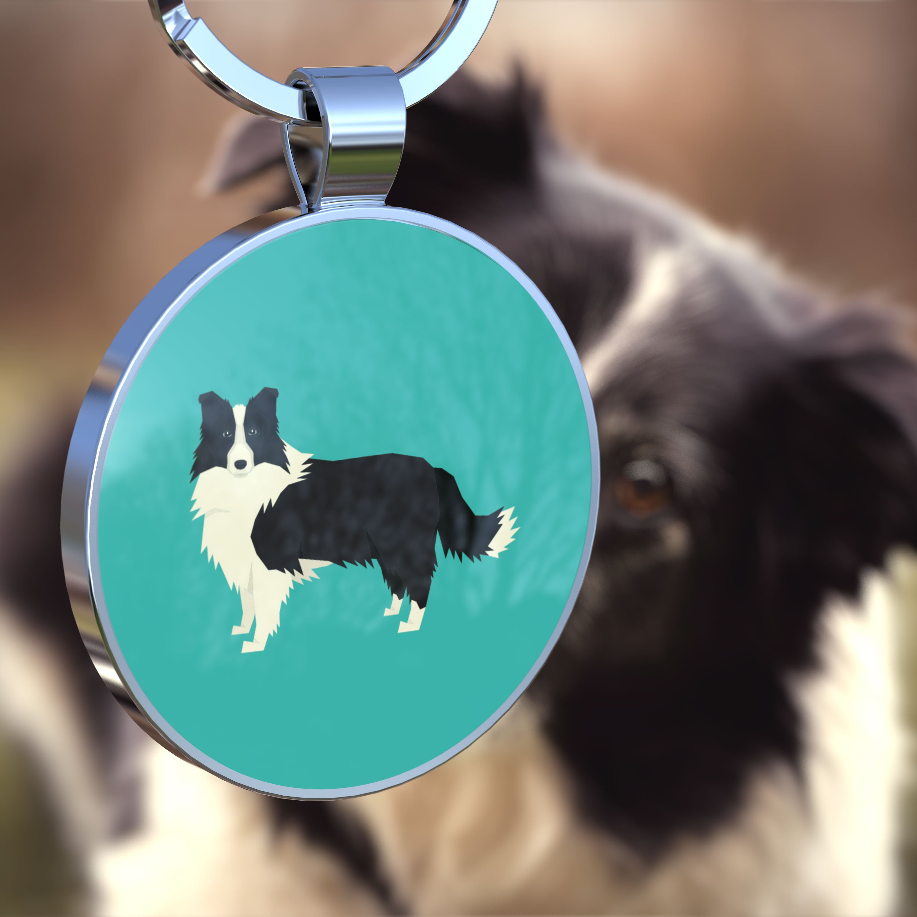 QR code pet tag Dog breeds tags-Border Collie