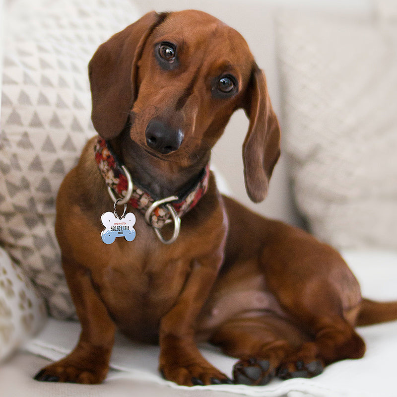 QR code pet tag American vehicle plates-NO.140907