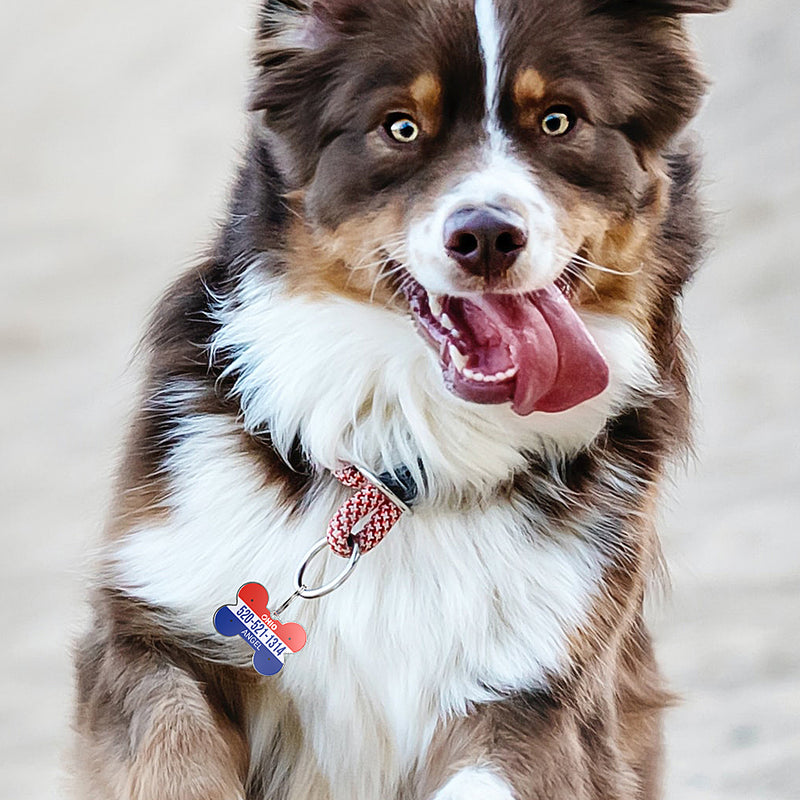 QR code pet tag American vehicle plates-NO.140912