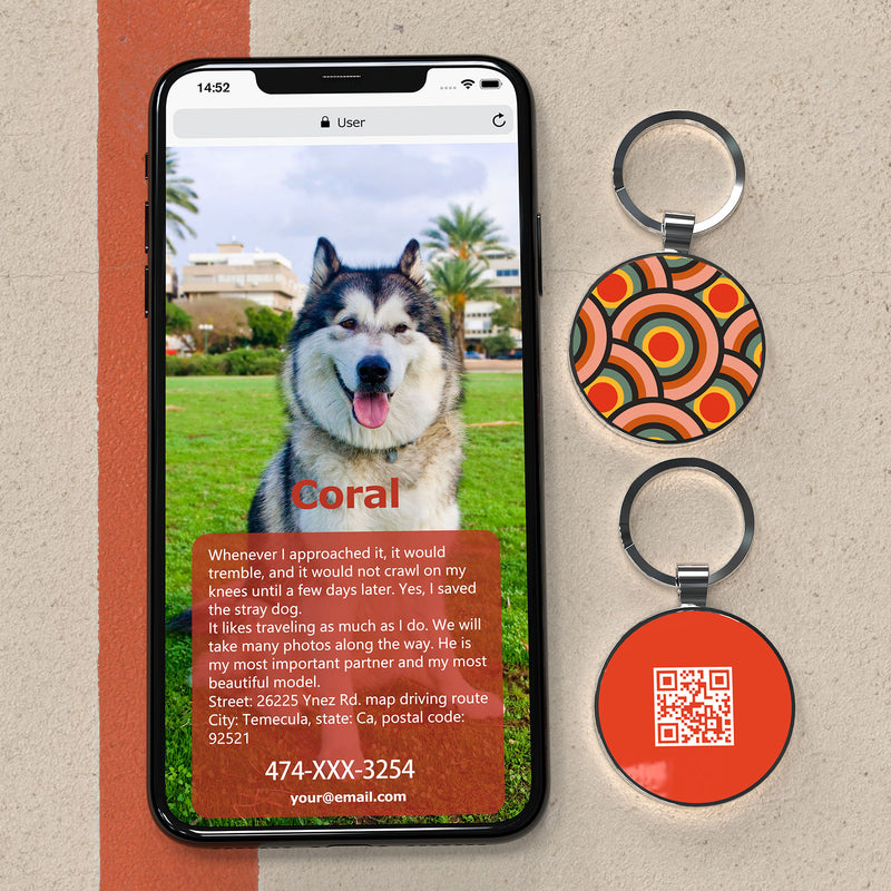 QR code pet tags-NO.150613