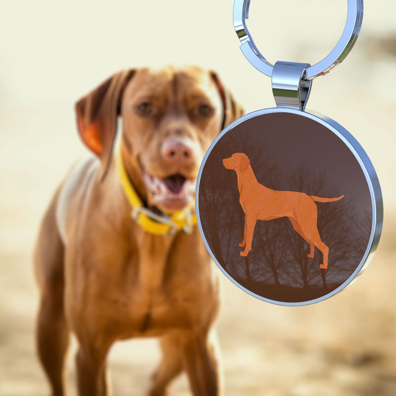 QR code pet tag Dog breeds tags-Vizsla