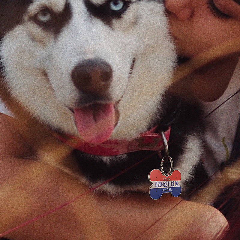 QR code pet tag American vehicle plates-NO.140912