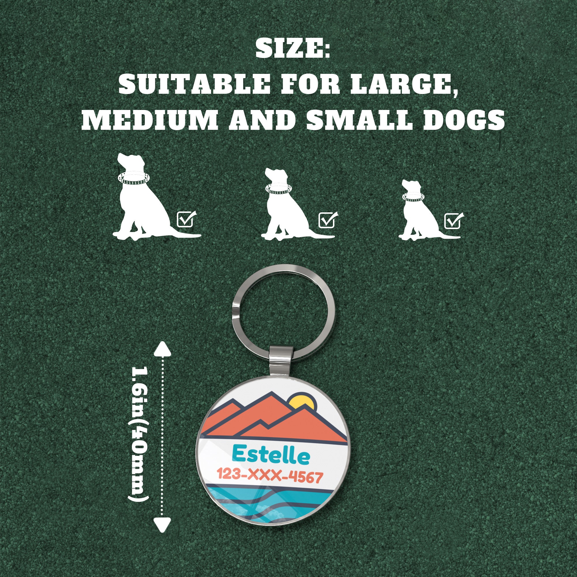QR code pet tag Adventure tour-NO.160901