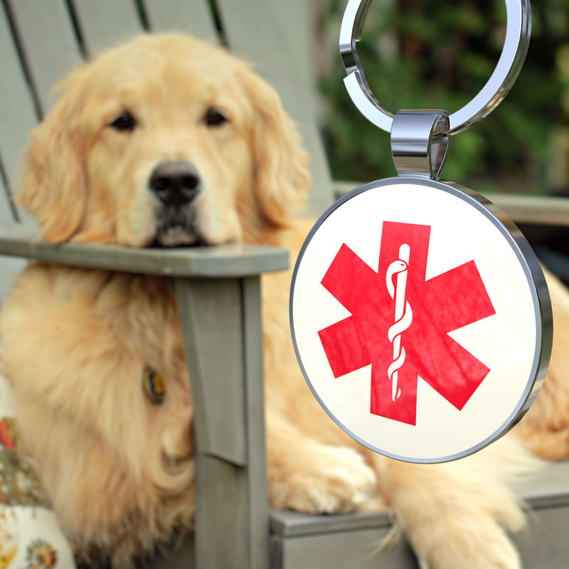 QR code pet tag Dog breeds tags-Service dog