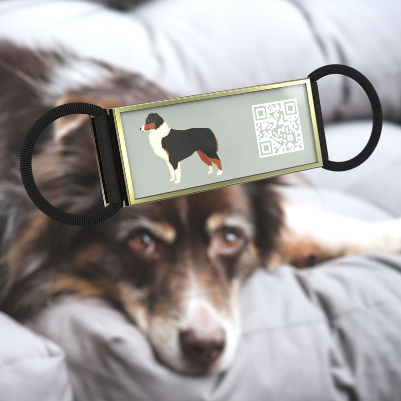QR code pet tag Silent dog breeds tags-Australian Shepherd