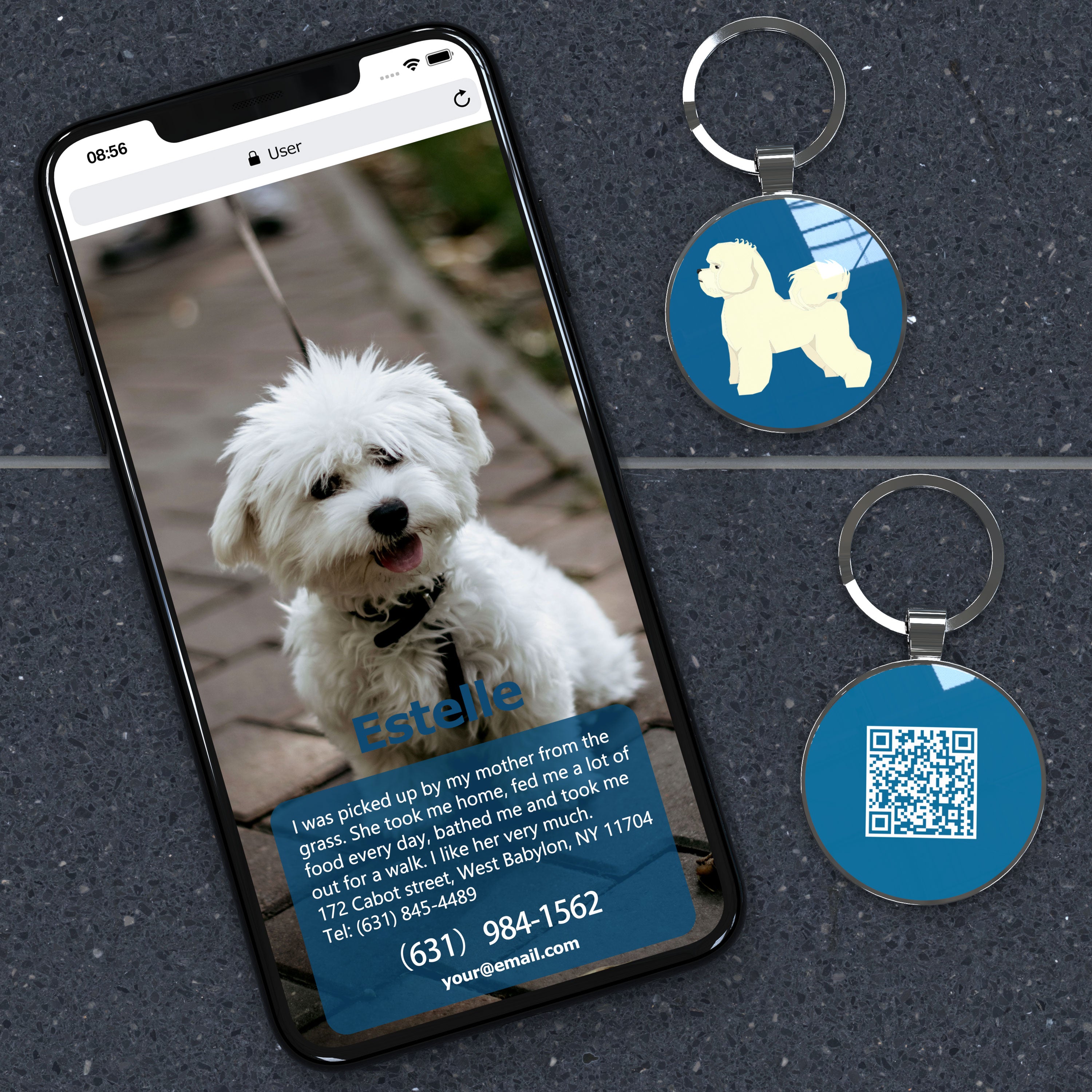 QR code pet tag Dog breeds tags-Bichon Fries