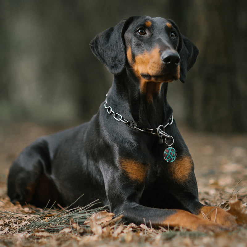 QR code pet tags-NO.150603