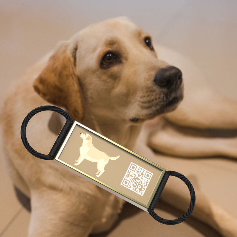 QR code pet tag Silent dog breeds tags-Labrador Retriever
